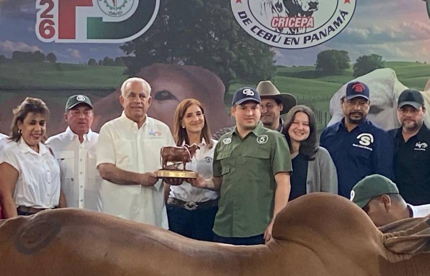 MIDA resalta calidad ganadera en la Feria de David y anuncia refuerzo al programa Mejor Semental