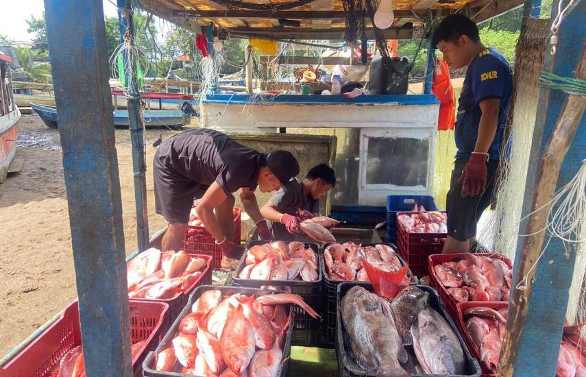 Más de $400 millones anuales representa la pesca artesanal