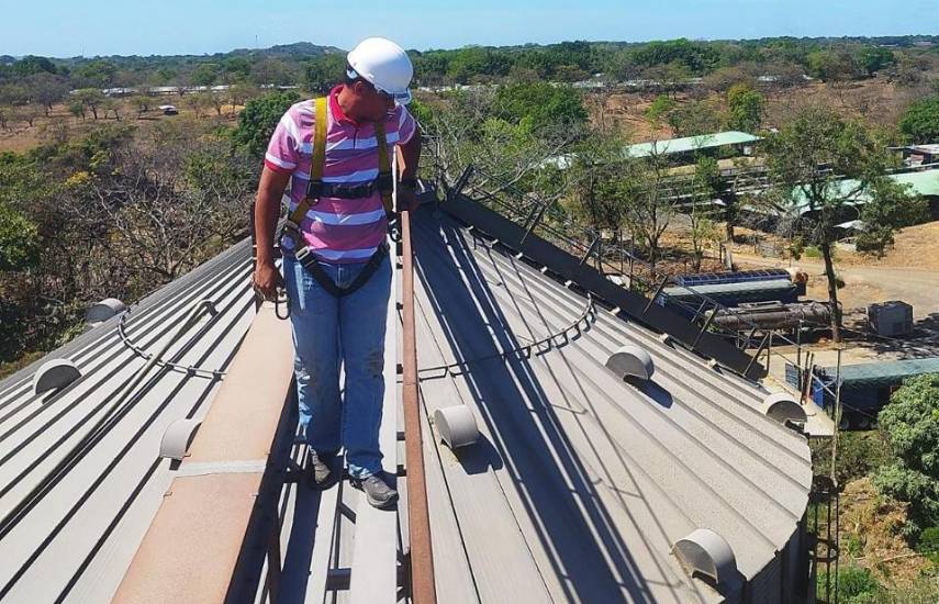 El MIDA se prepara para realizar inventario de arroz y maíz