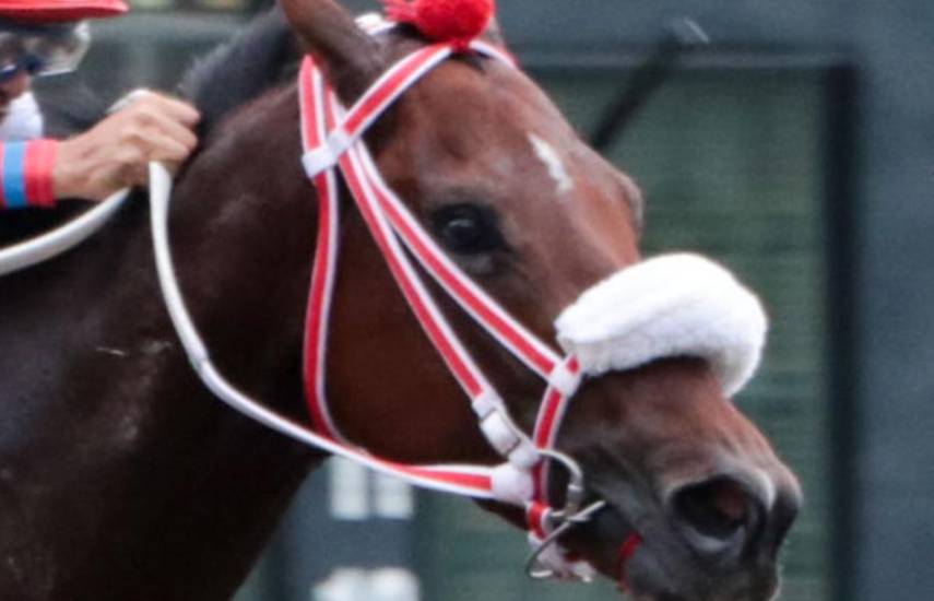 Buco Chen Chen va por su primer triunfo del año