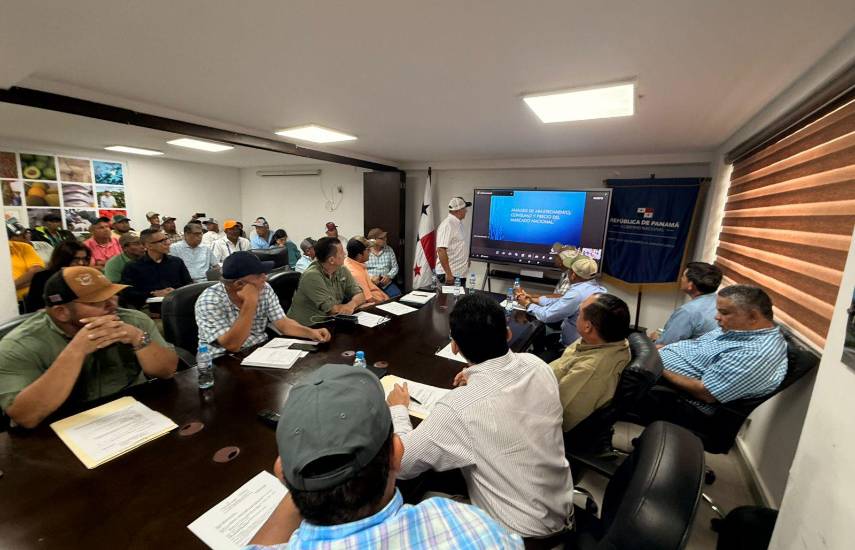 Miembros de la cadena agroalimentaria del arroz recomiendan no importar ante abastecimiento garantizado