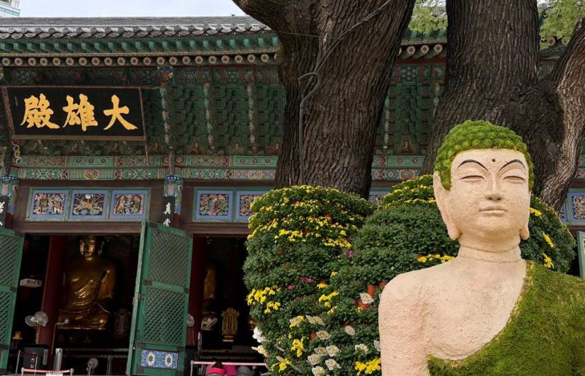 Cerro Patacón: El plan de Corea del Sur