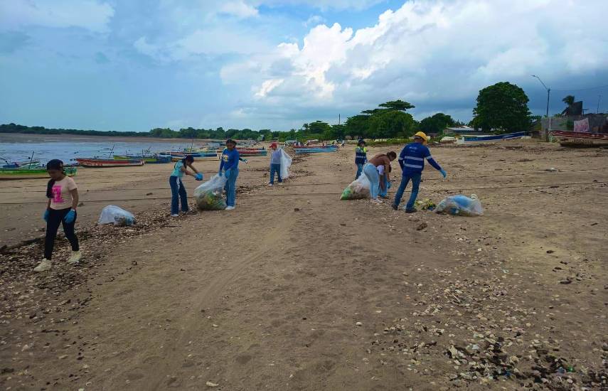 MiAmbiente | Personas limpian una playa.