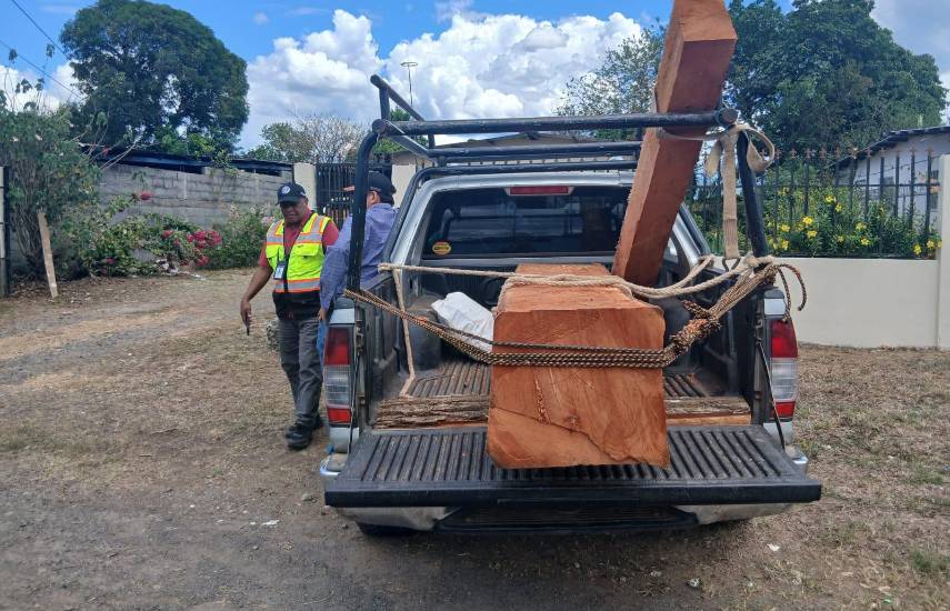 Detectan en Soná, madera procesada sin su documentación requerida