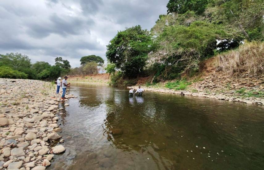 El reto de la educación ambiental