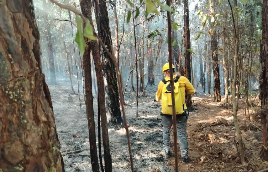 Bomberos mantienen estado de emergencia por incendio en La Yeguada