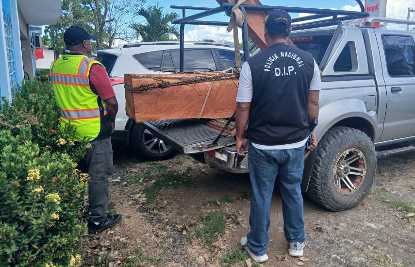 Detectan en Soná, madera procesada sin su documentación requerida