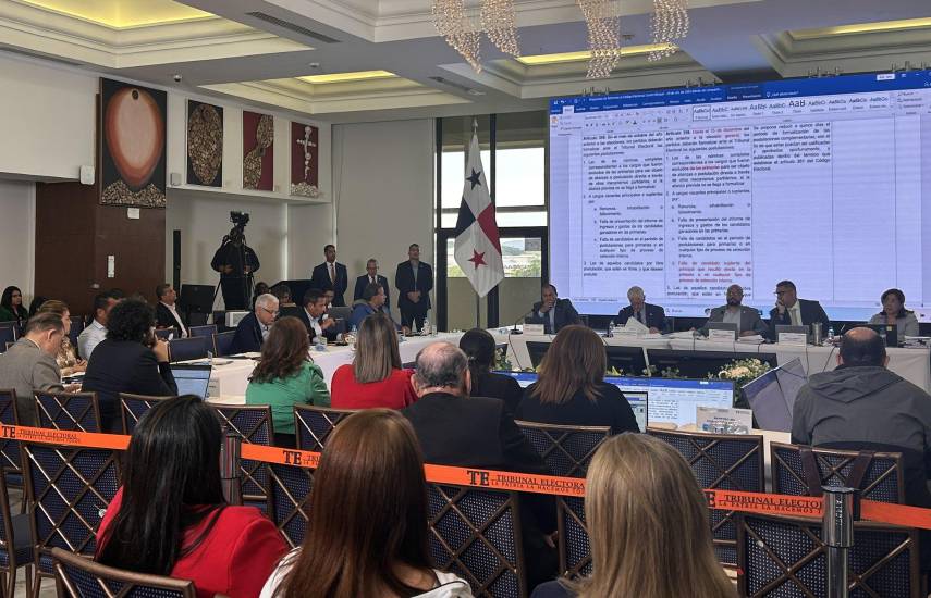 Las propuestas de reformas al Código Electoral afectan a los independientes