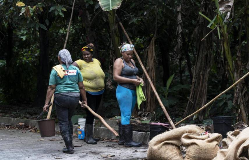 Las madres del cacao, otro “oro negro” en Venezuela