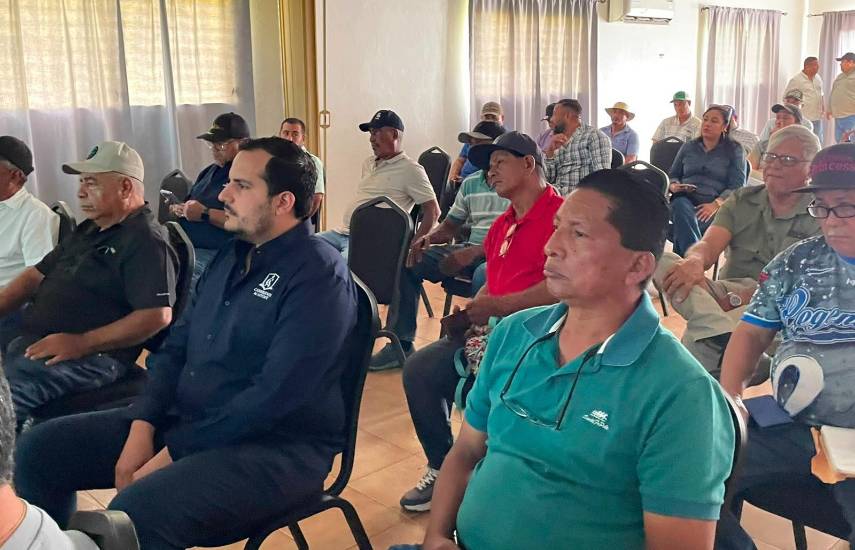 Coclé impulsa la comercialización agrícola con visión exportadora