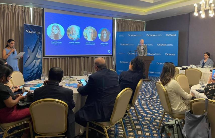 Organización internacional Oceana pide a los gobiernos combatir la contaminación por plásticos