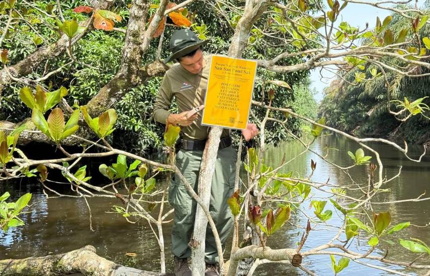 San San Pond Sak, la joya natural en Bocas