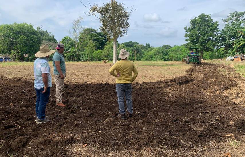 Fenómeno de El Niño afectaría en el sector salud y agropecuario
