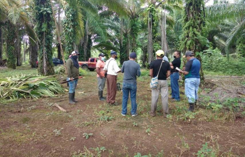 Avanza construcción del complejo agroindustrial en San Lorenzo