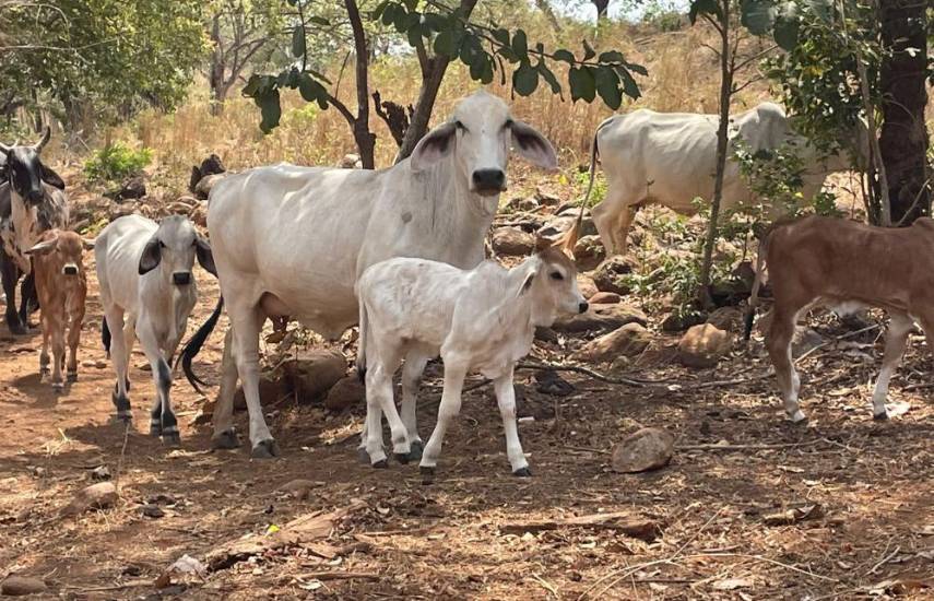 Panamá se prepara para despedir al fenómeno de El Niño y recibir a la Niña