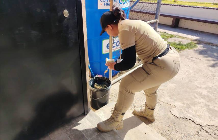 MINSA detecta criaderos potenciales de mosquitos en Los Santos