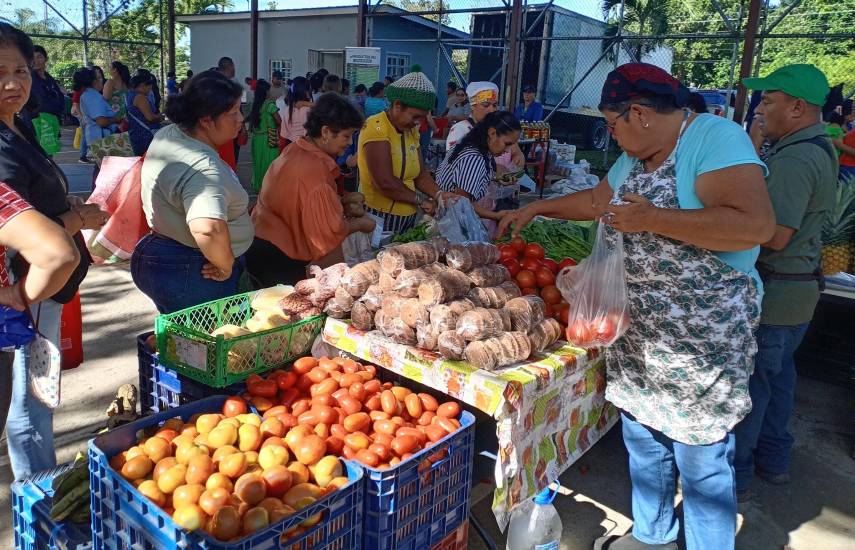 Seguridad alimentaria y precios accesibles: prioridades del IMA para este fin de año