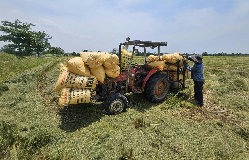 “Agro y turismo”, impulsan reactivación en Bocas