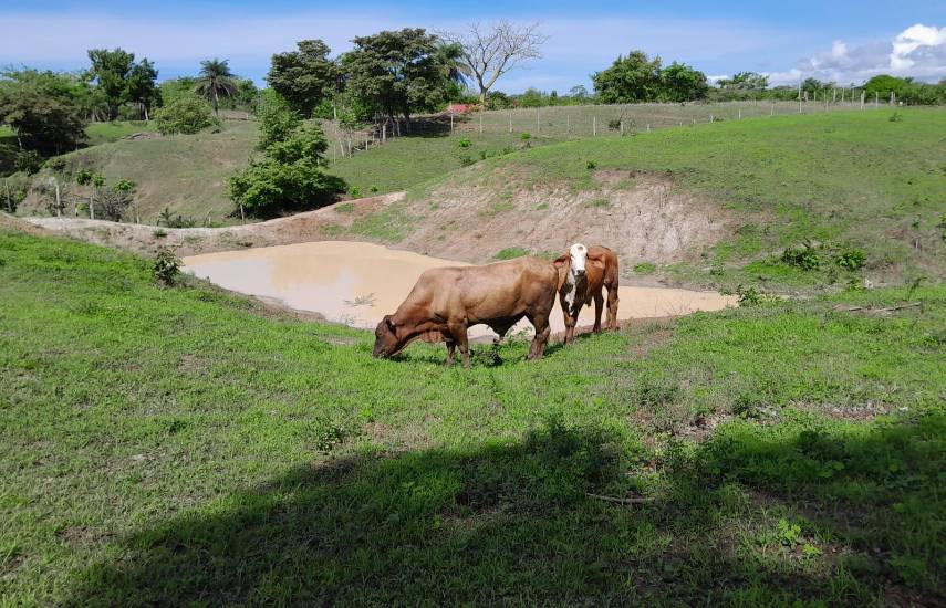 El fenómeno de El Niño se extenderá por 18 meses