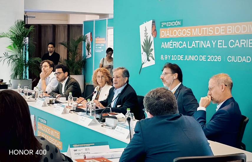 CAF destina $8 mil millones a proyectos de transición energética