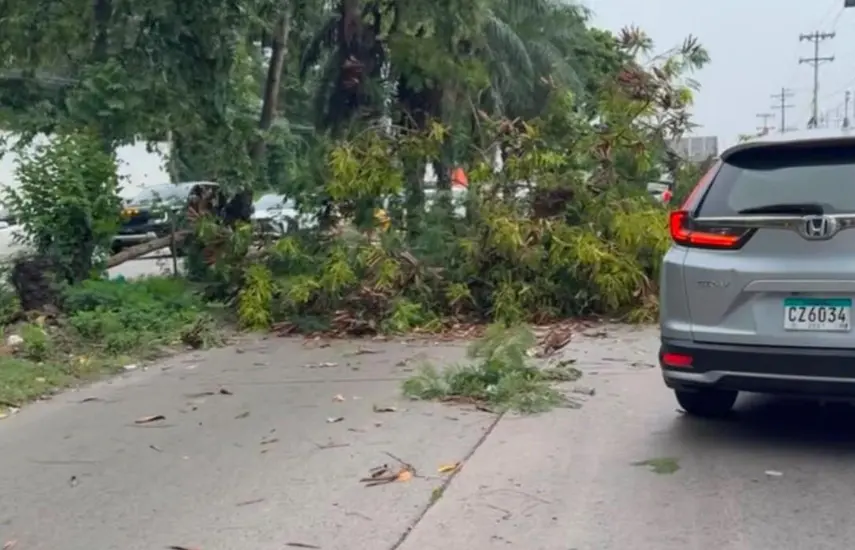 Fuertes ráfagas de viento y tormentas causan desprendimiento de techos en la capital
