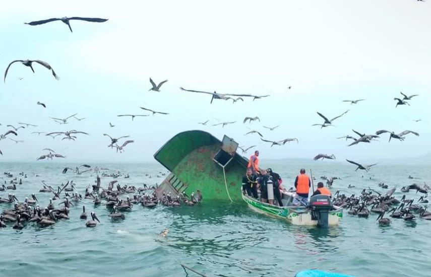 La AMP abre una investigación administrativa por el naufragio de la nave Anchovetas II