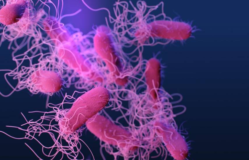 Bacterias multidrogorresistentes, amenazas mortales