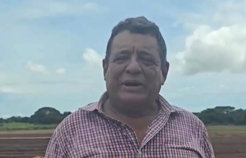 Mercado está abastecido de cebolla, pero con un bajo consumo, según productores