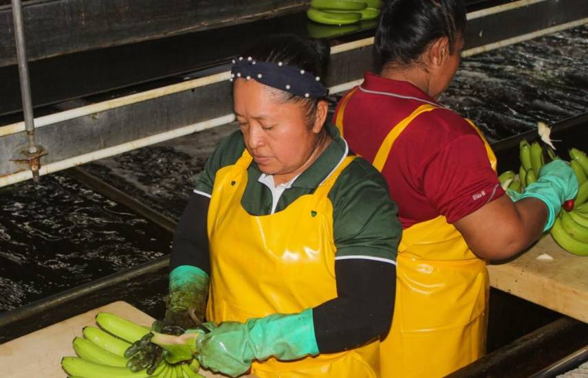 Trabajadores bananeros de Bocas del Toro reciben bonos para la compra de alimentos