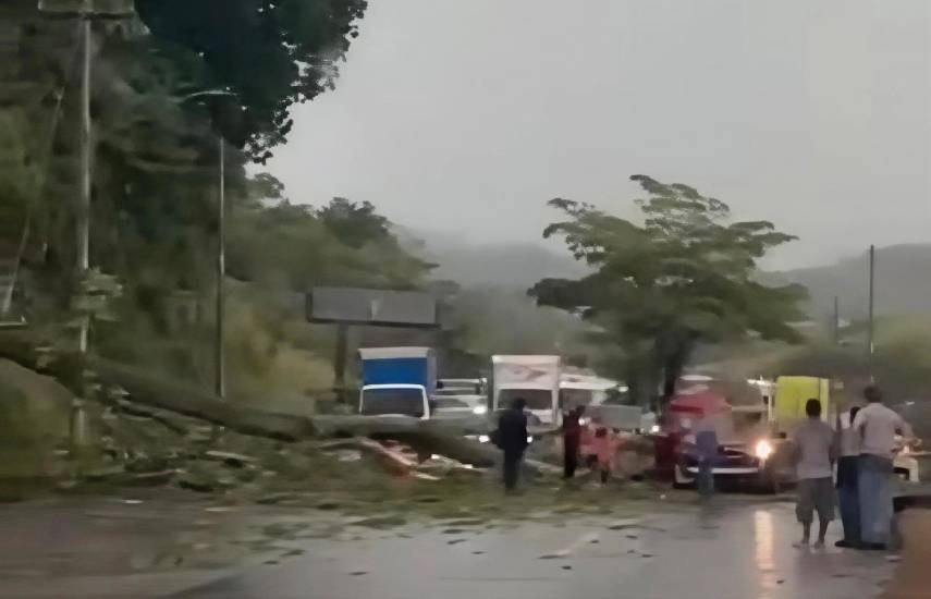Fuertes ráfagas de viento y tormentas causan desprendimiento de techos en la capital