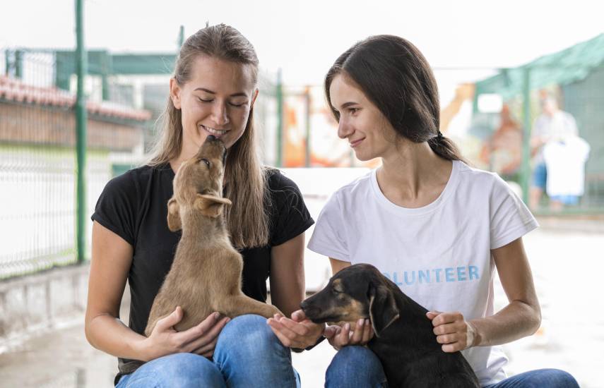 Fundaciones impulsan campañas para fomentar el cuidado animal