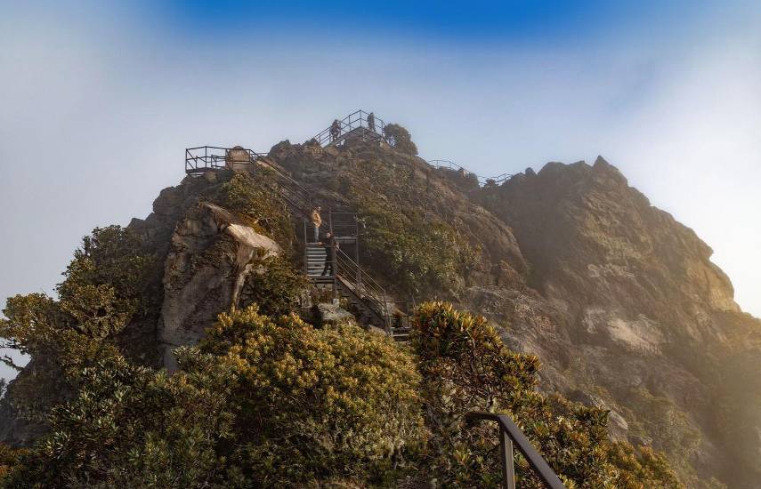 Parque Volcán Barú: 50 años custodiando la biodiversidad