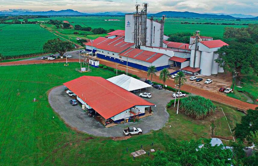 Industria produce más de 195 mil toneladas de azúcar al año