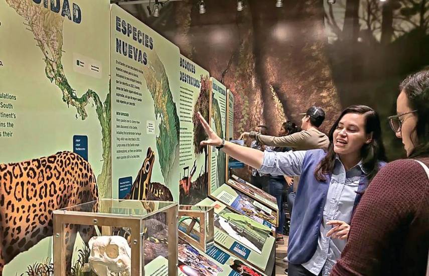 Museos quieren dejar aburrimiento