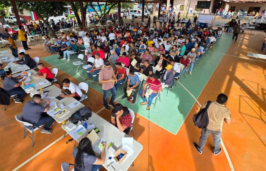 Tejemeneje del 29 de octubre de 2025