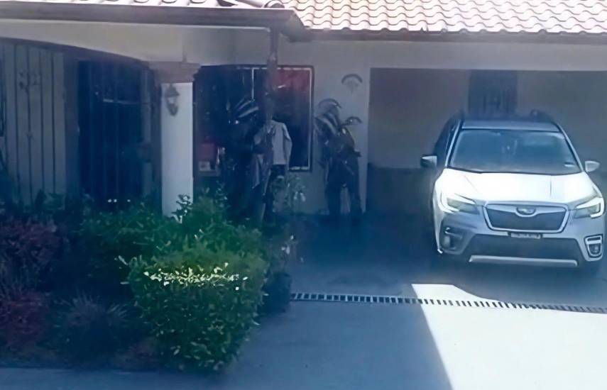 ML | Caso de abejas africanizadas en Zona Regional Chiriquí.