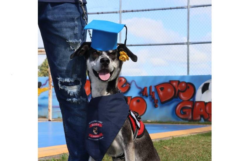 Canes y sus guías se gradúan en curso dictado por la Policía