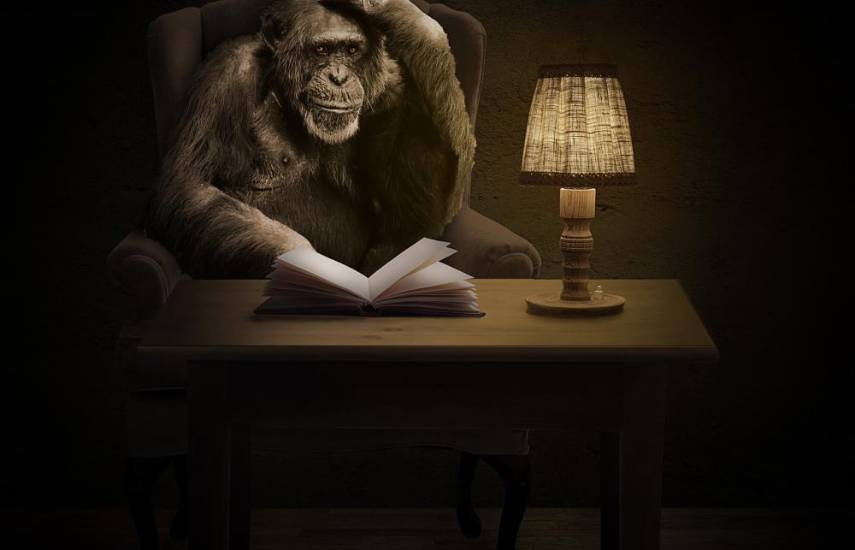 Tejemeneje del 20 de enero de 2025