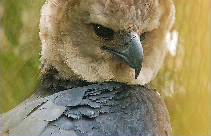 Personas que debemos recordar: Dr. Eugene Eisenmann