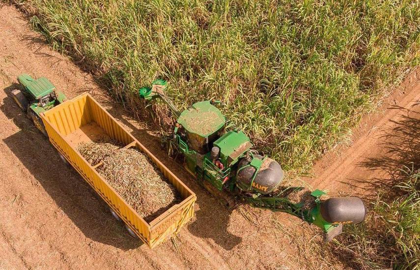 Industria produce más de 195 mil toneladas de azúcar al año