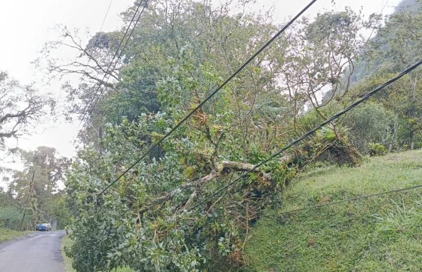 Comunicado Naturgy: Afectaciones por frente frío