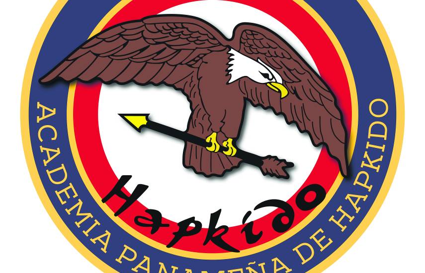 Una clase aparte en Hapkido