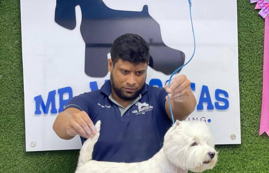 El arte de la peluquería canina