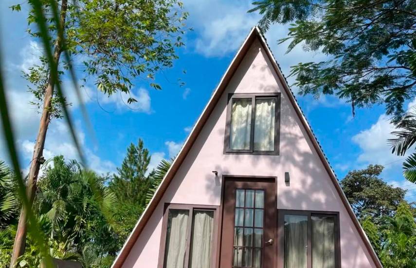 Entre vacas, cafetales, cerros y bosques vive el agroturismo