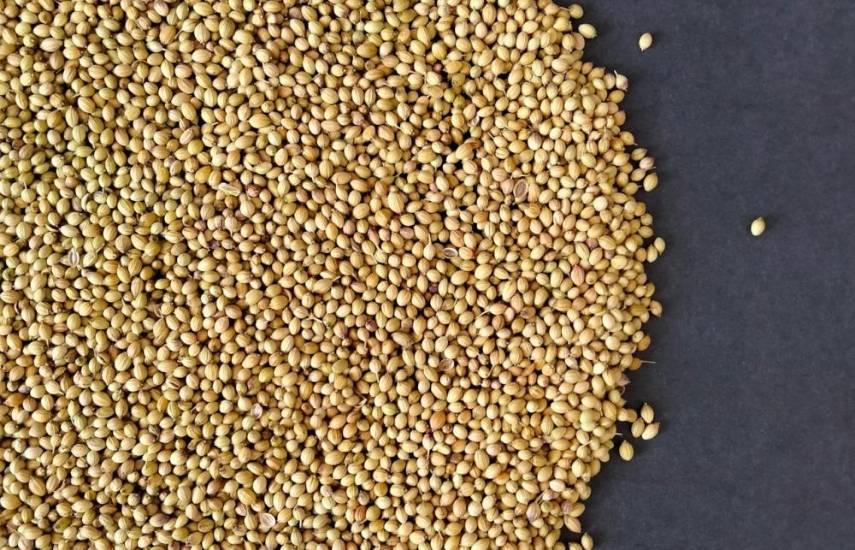 Especias, ¿cuáles son las más usadas en Panamá?