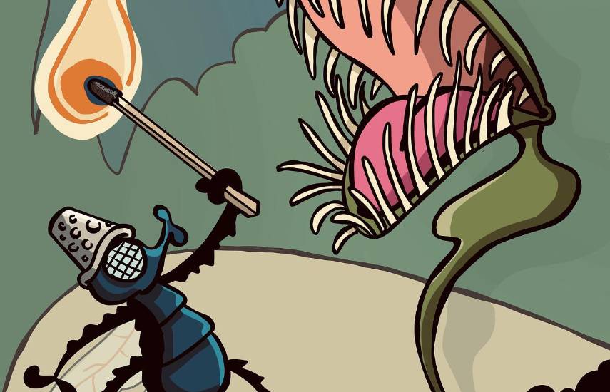 Tejemeneje del 11 de noviembre de 2025