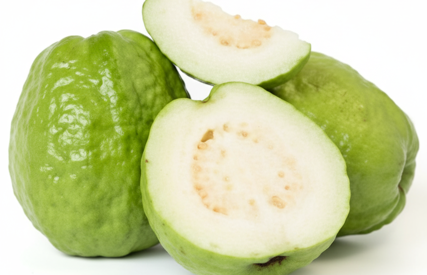 La producción de guayabas alcanza los 2,857.8 quintales