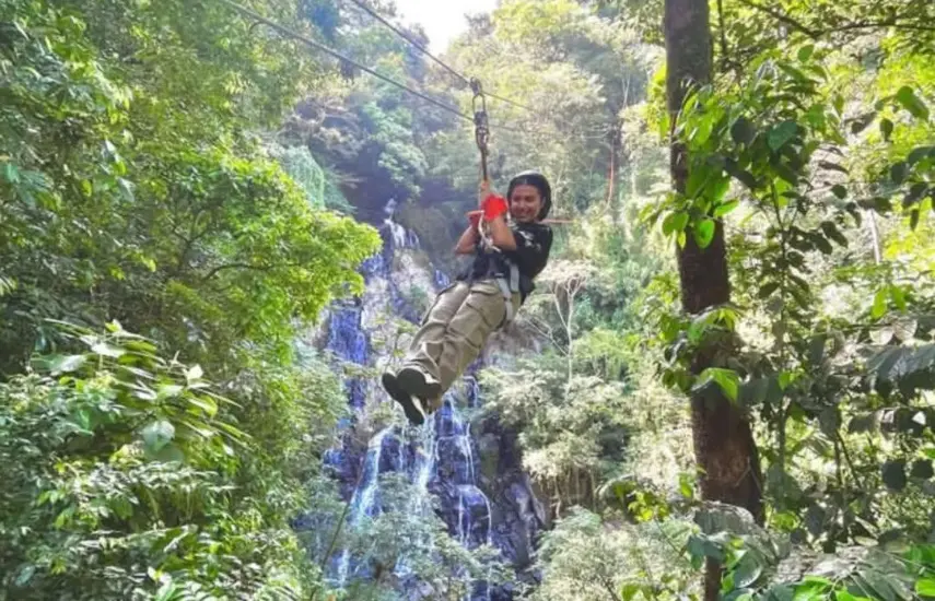 Recorridos en canopy para los amantes de la aventura
