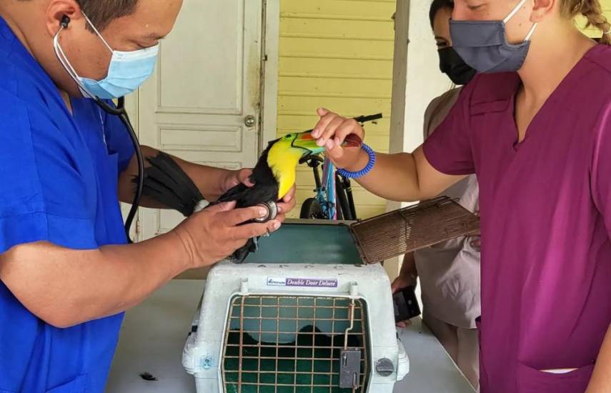 ¡Al rescate de la fauna!