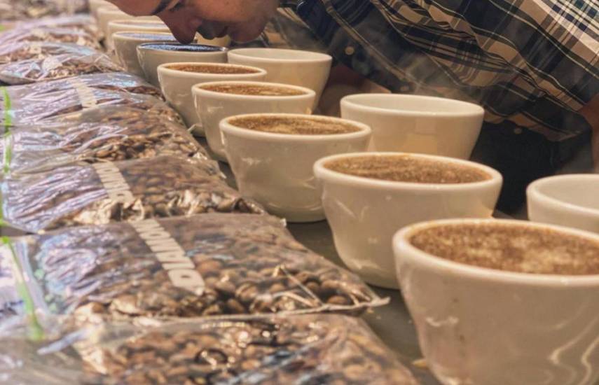 Gato Solo Coffee Roasters: un hub del café en Panamá